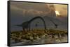 A Herd of Omeisaurus Sauropod Dinosaurs Grazing-null-Framed Stretched Canvas