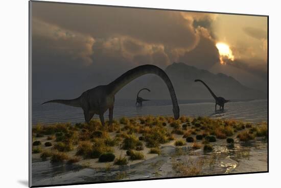 A Herd of Omeisaurus Sauropod Dinosaurs Grazing-null-Mounted Art Print