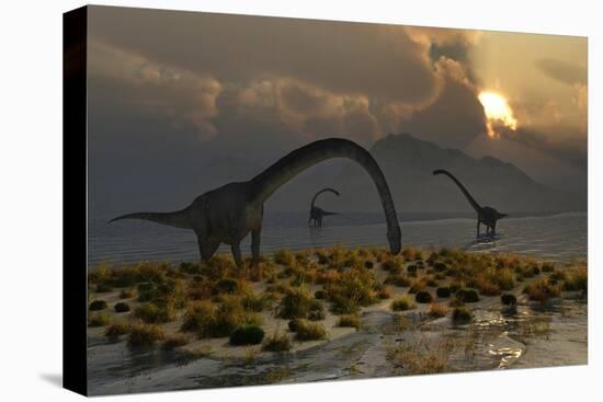 A Herd of Omeisaurus Sauropod Dinosaurs Grazing-null-Stretched Canvas