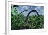 A Herd of Omeisaurus Sauropod Dinosaurs Grazing-null-Framed Premium Giclee Print