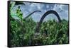 A Herd of Omeisaurus Sauropod Dinosaurs Grazing-null-Framed Stretched Canvas