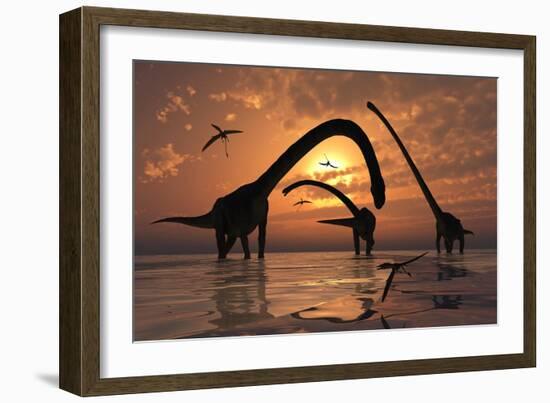 A Herd of Omeisaurus Sauropod Dinosaurs in Shallow Water-null-Framed Art Print