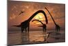 A Herd of Omeisaurus Sauropod Dinosaurs in Shallow Water-null-Mounted Art Print