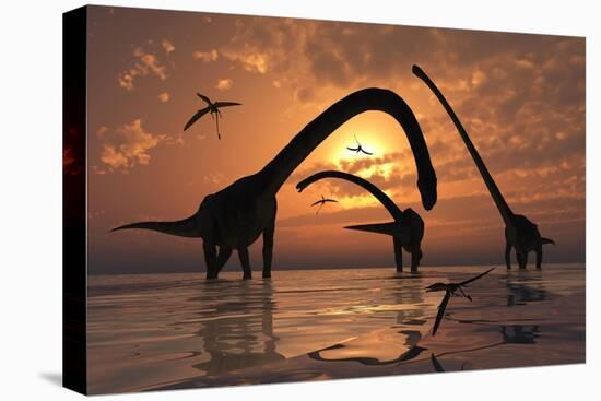 A Herd of Omeisaurus Sauropod Dinosaurs in Shallow Water-null-Stretched Canvas