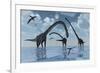 A Herd of Omeisaurus Sauropod Dinosaurs in Shallow Water-null-Framed Art Print