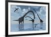 A Herd of Omeisaurus Sauropod Dinosaurs in Shallow Water-null-Framed Art Print