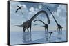 A Herd of Omeisaurus Sauropod Dinosaurs in Shallow Water-null-Framed Stretched Canvas