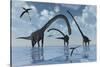 A Herd of Omeisaurus Sauropod Dinosaurs in Shallow Water-null-Stretched Canvas