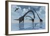 A Herd of Omeisaurus Sauropod Dinosaurs in Shallow Water-null-Framed Art Print