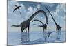 A Herd of Omeisaurus Sauropod Dinosaurs in Shallow Water-null-Mounted Art Print