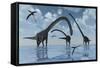 A Herd of Omeisaurus Sauropod Dinosaurs in Shallow Water-null-Framed Stretched Canvas