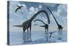 A Herd of Omeisaurus Sauropod Dinosaurs in Shallow Water-null-Stretched Canvas