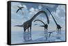 A Herd of Omeisaurus Sauropod Dinosaurs in Shallow Water-null-Framed Stretched Canvas