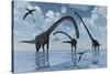 A Herd of Omeisaurus Sauropod Dinosaurs in Shallow Water-null-Stretched Canvas