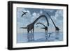 A Herd of Omeisaurus Sauropod Dinosaurs in Shallow Water-null-Framed Premium Giclee Print