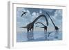 A Herd of Omeisaurus Sauropod Dinosaurs in Shallow Water-null-Framed Premium Giclee Print