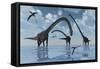 A Herd of Omeisaurus Sauropod Dinosaurs in Shallow Water-null-Framed Stretched Canvas