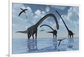 A Herd of Omeisaurus Sauropod Dinosaurs in Shallow Water-null-Framed Art Print