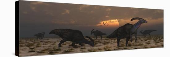 A Herd of Parasaurolophus Dinosaurs at Dawn-Stocktrek Images-Stretched Canvas