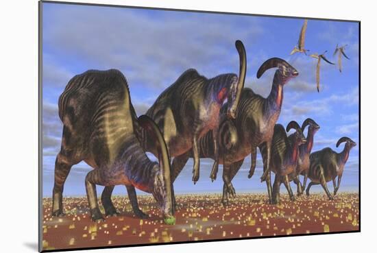 A Herd of Parasaurolophus Dinosaurs Searching for Vegetation-null-Mounted Art Print