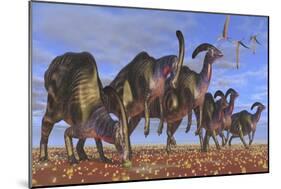 A Herd of Parasaurolophus Dinosaurs Searching for Vegetation-null-Mounted Art Print
