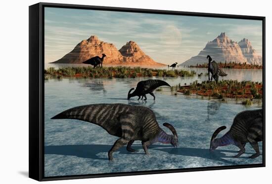 A Herd of Parasaurolophus Duckbill Dinosaurs Grazing-null-Framed Stretched Canvas