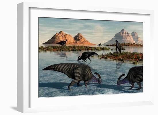 A Herd of Parasaurolophus Duckbill Dinosaurs Grazing-null-Framed Art Print