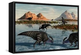 A Herd of Parasaurolophus Duckbill Dinosaurs Grazing-null-Framed Stretched Canvas