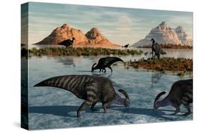 A Herd of Parasaurolophus Duckbill Dinosaurs Grazing-null-Stretched Canvas