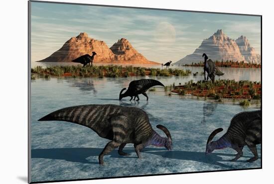 A Herd of Parasaurolophus Duckbill Dinosaurs Grazing-null-Mounted Premium Giclee Print