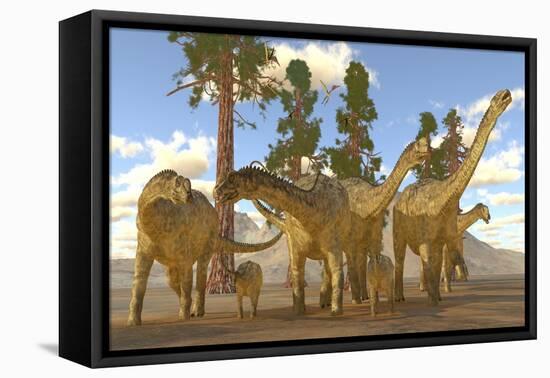 A Herd of Sauropod Uberabatitan Dinosaurs-Stocktrek Images-Framed Stretched Canvas