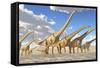 A Herd of Sauroposeidon Dinosaurs-Stocktrek Images-Framed Stretched Canvas