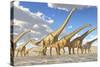 A Herd of Sauroposeidon Dinosaurs-Stocktrek Images-Stretched Canvas