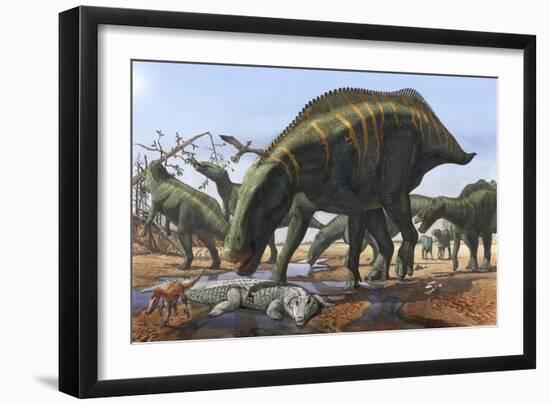 A Herd of Shantungosaurus Dinosaurs Scavenging for Food-null-Framed Art Print