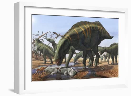 A Herd of Shantungosaurus Dinosaurs Scavenging for Food-null-Framed Art Print
