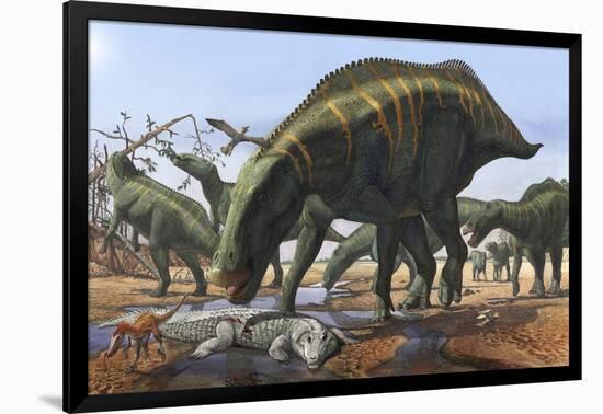 A Herd of Shantungosaurus Dinosaurs Scavenging for Food-null-Framed Art Print