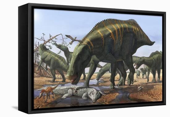 A Herd of Shantungosaurus Dinosaurs Scavenging for Food-null-Framed Stretched Canvas