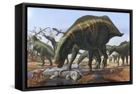 A Herd of Shantungosaurus Dinosaurs Scavenging for Food-null-Framed Stretched Canvas