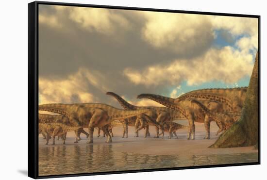 A Herd of Spinosphorosaurus-Stocktrek Images-Framed Stretched Canvas