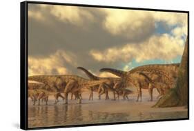 A Herd of Spinosphorosaurus-Stocktrek Images-Framed Stretched Canvas