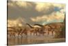 A Herd of Spinosphorosaurus-Stocktrek Images-Stretched Canvas