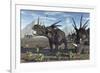 A Herd of Styracosaurus Dinosaurs During Earth's Cretaceous Period-Stocktrek Images-Framed Art Print