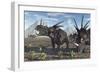 A Herd of Styracosaurus Dinosaurs During Earth's Cretaceous Period-Stocktrek Images-Framed Premium Giclee Print