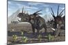 A Herd of Styracosaurus Dinosaurs During Earth's Cretaceous Period-Stocktrek Images-Mounted Premium Giclee Print