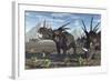 A Herd of Styracosaurus Dinosaurs During Earth's Cretaceous Period-Stocktrek Images-Framed Art Print