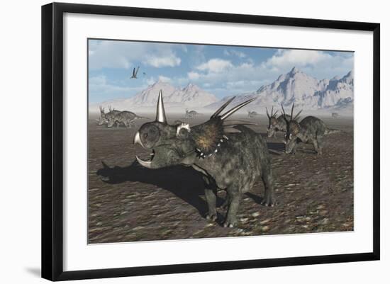 A Herd of Styracosaurus Dinosaurs During Earth's Cretaceous Period-Stocktrek Images-Framed Art Print