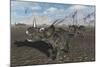 A Herd of Styracosaurus Dinosaurs During Earth's Cretaceous Period-Stocktrek Images-Mounted Art Print