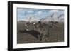 A Herd of Styracosaurus Dinosaurs During Earth's Cretaceous Period-Stocktrek Images-Framed Art Print