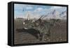 A Herd of Styracosaurus Dinosaurs During Earth's Cretaceous Period-Stocktrek Images-Framed Stretched Canvas