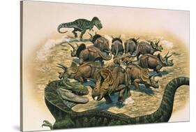 A Herd of Triceratops Defend their Territory Against a Pair of Tyrannosaurus Rex-null-Stretched Canvas